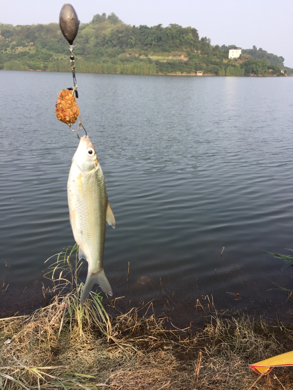 久违的长湖_钓鱼记|大湖_重庆钓鱼网_重庆钓鱼网|重钓